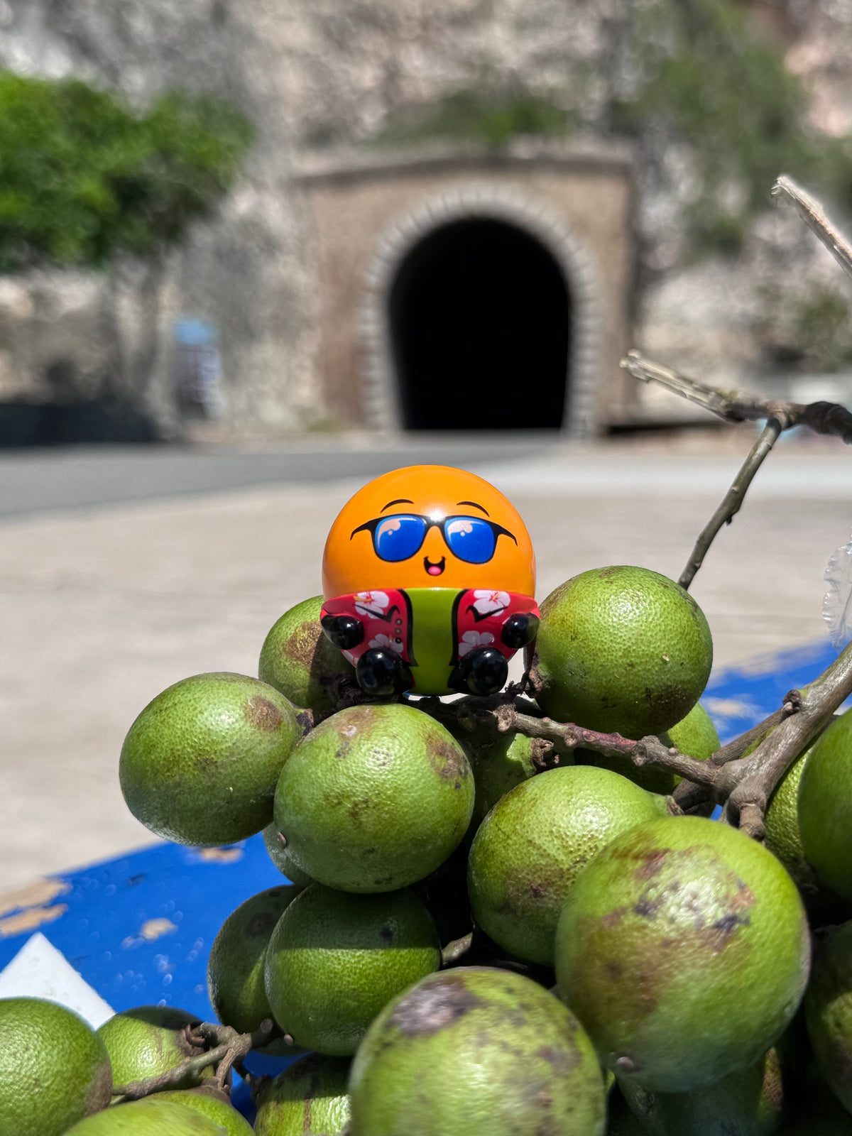 Queni la Quenepa™ - Edición Tropical - Figurita Coleccionable
